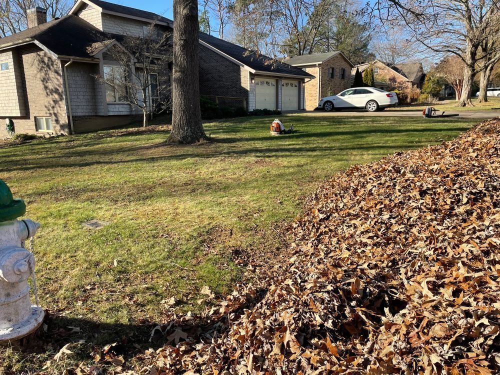 Pile of leaves in a front yard, with houses and a white car in the background.