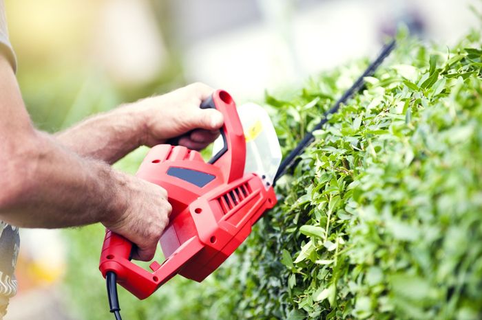 Trimming the Bushes — Dingmans Ferry, PA — Blue Ridge Tree Services