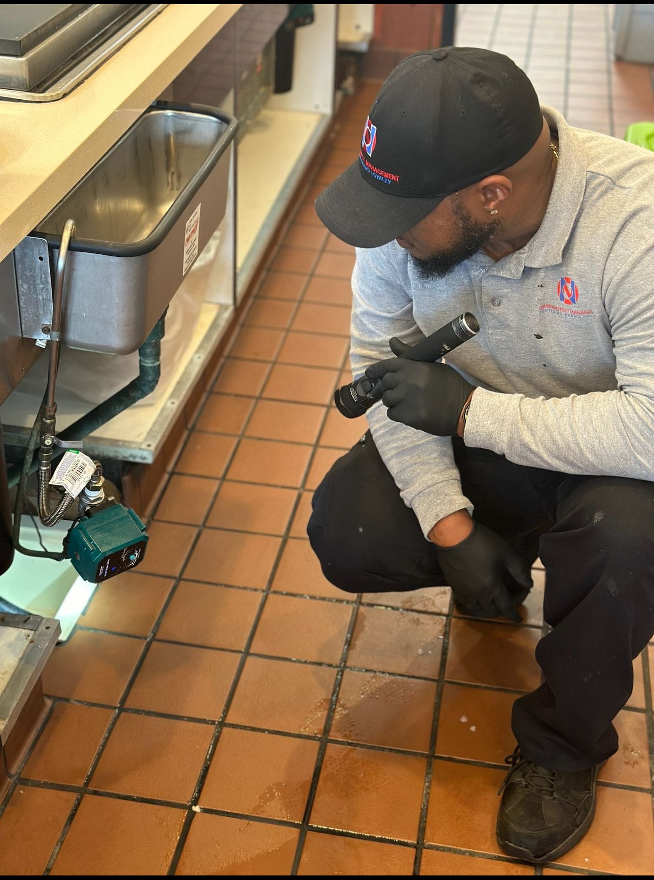 Office Pest Control