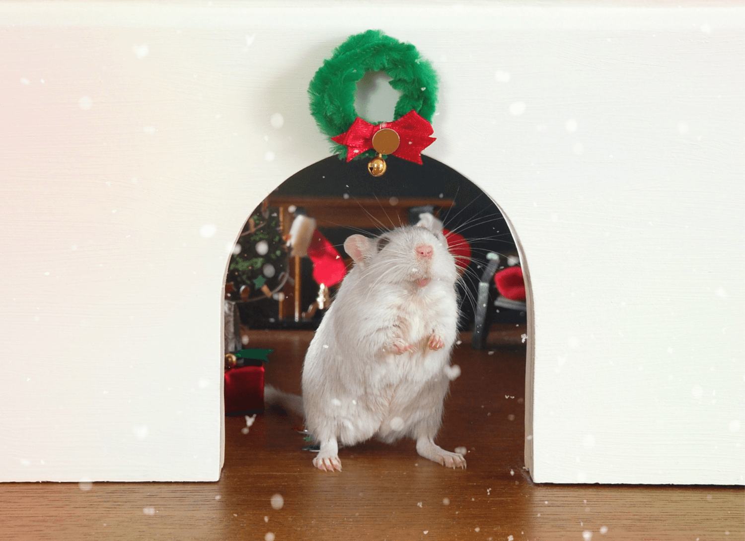 A white gerbil stands in a doorway decorated with a Christmas wreath, with a decorated tree
