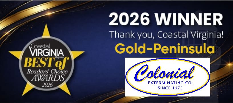2026 winner Gold-Peninsula award graphic with Coastal Virginia and Colonial logos on a dark blue background