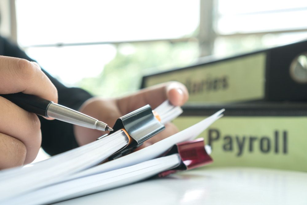 Payroll Document Report — Payroll Services in Townsville, QLD