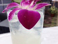Lychee Collins