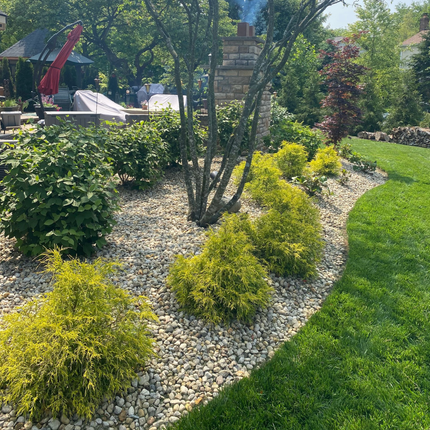 Landscaped garden with shrubs, pebbles, and a young tree beside a green lawn and patio chairs.