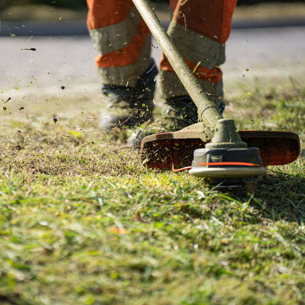 String trimmer cutting grass, kicking up clippings near a roadside edge.