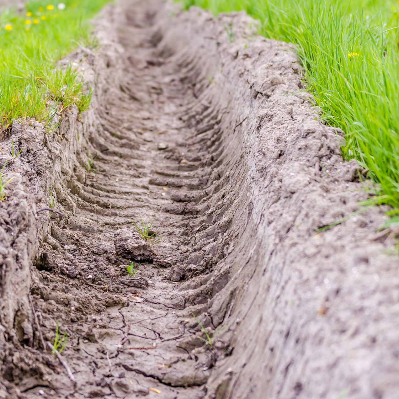 Mud tire tracks cut through bright green grass.