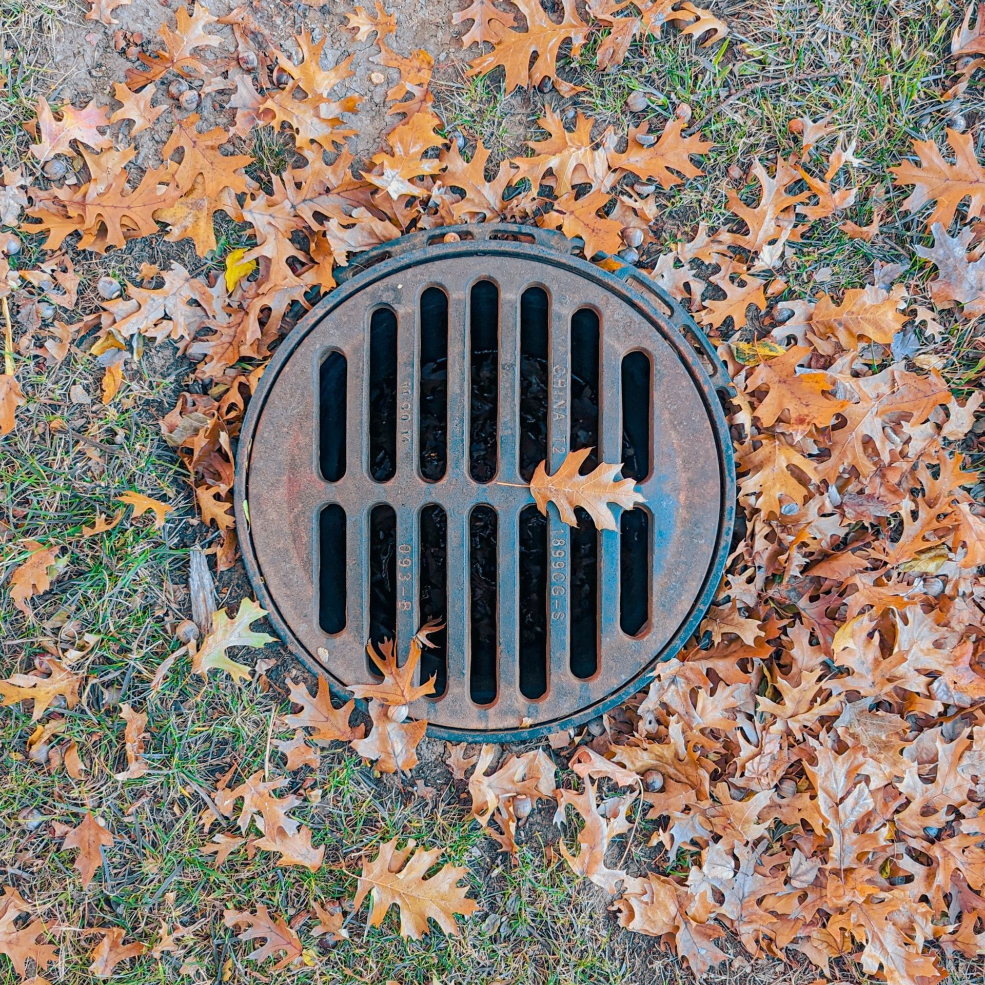 Round metal storm drain covered with fallen orange and brown leaves on pavement