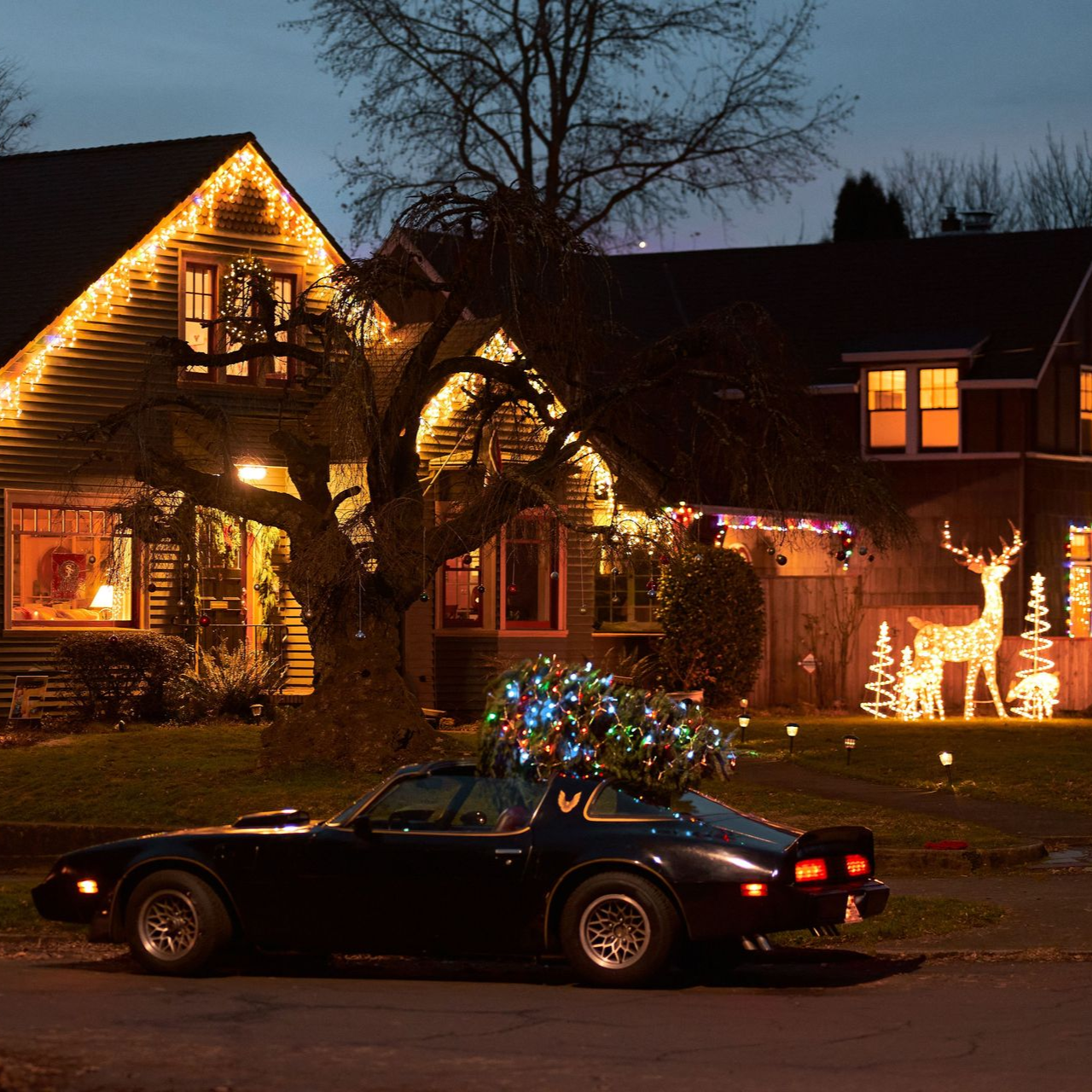 Dark house decorated with Christmas lights, with a black car parked in front at dusk.