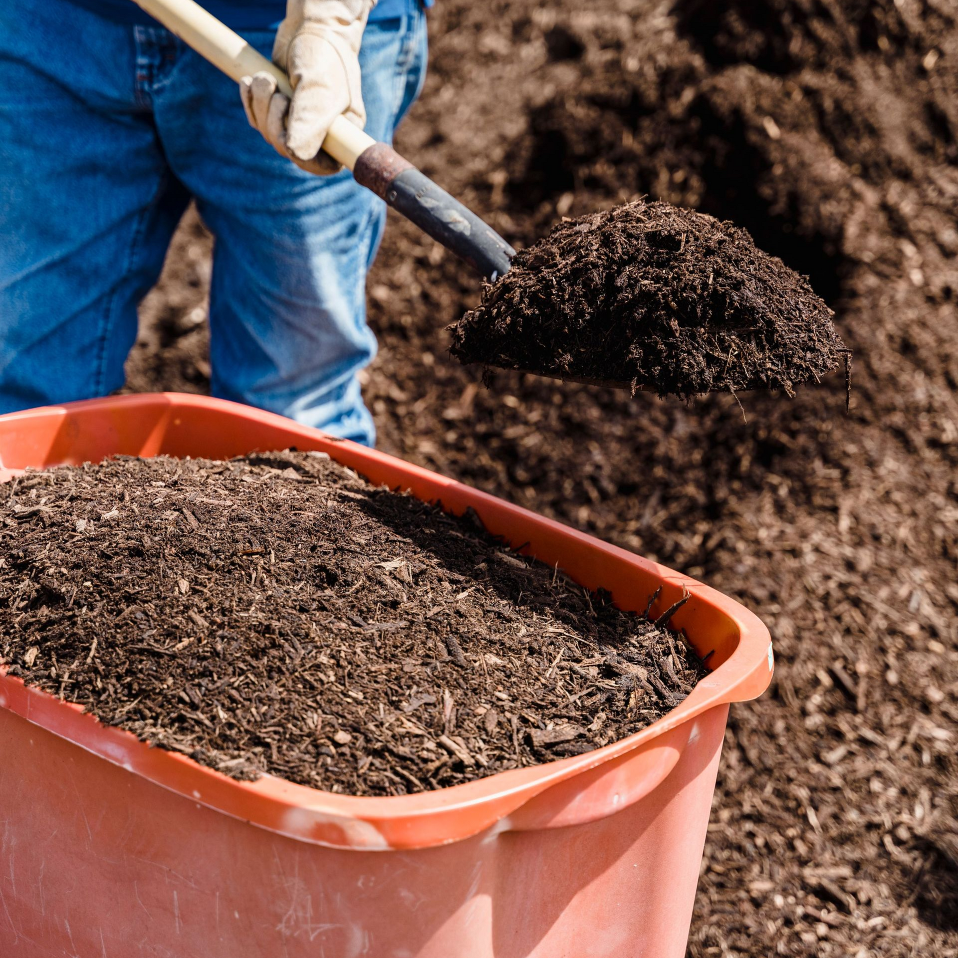 Gardener shoveling dark compost into an orange bin outdoors