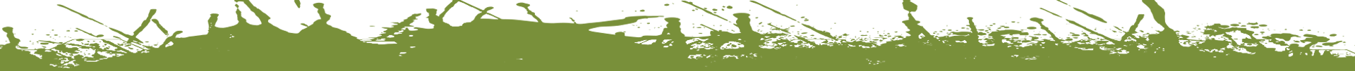 Green grass border along the top edge on a white background