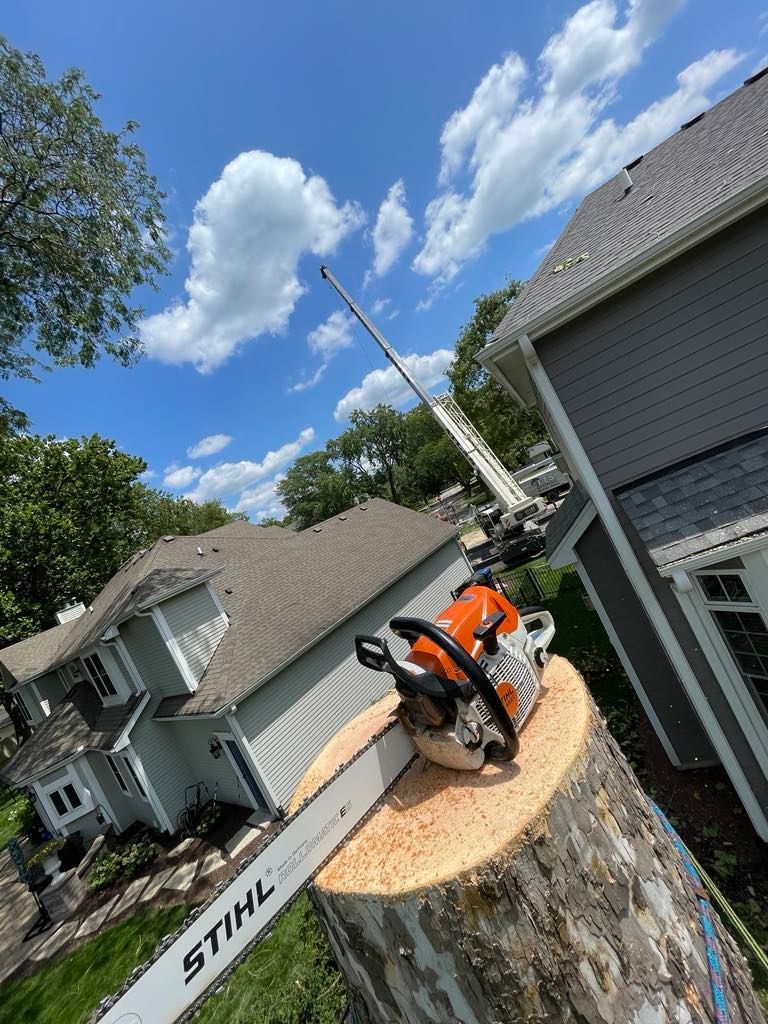 Pruning trees using a lift-arm - Tree services in Naperville, IL Chainsaw on a tree stump with a crane in the background, blue sky with clouds, next to a house.