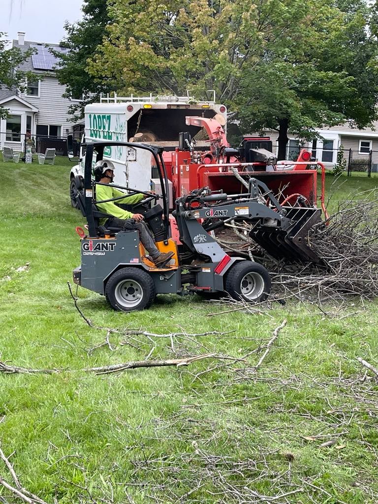 Man operating a small tractor loading tree branches into a wood chipper on a grassy lawn.