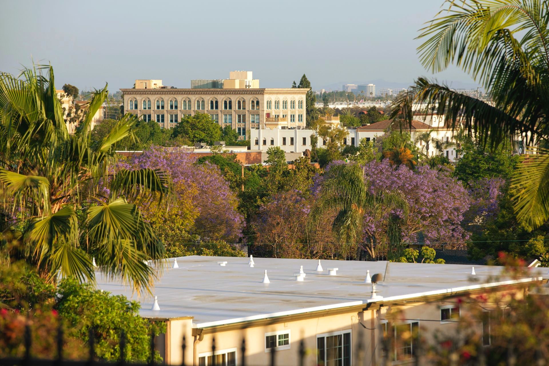 A building with a white roof is surrounded by trees and palm trees