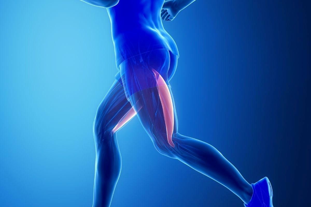 biceps-femoral-dr-diego-munhoz-ortopedista-joelho-sao-paulo