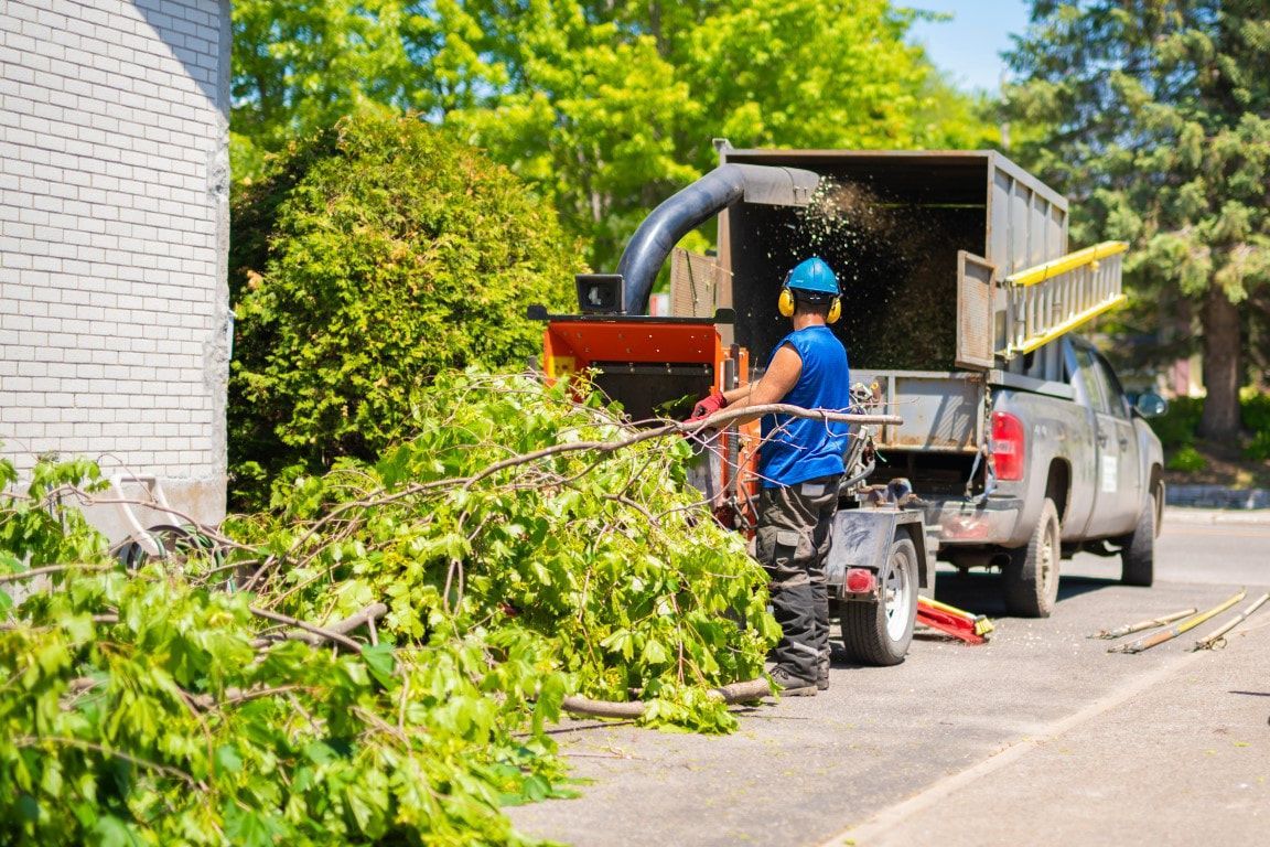 Man feeding branches into a wood chipper attached to a truck on a sunny street.