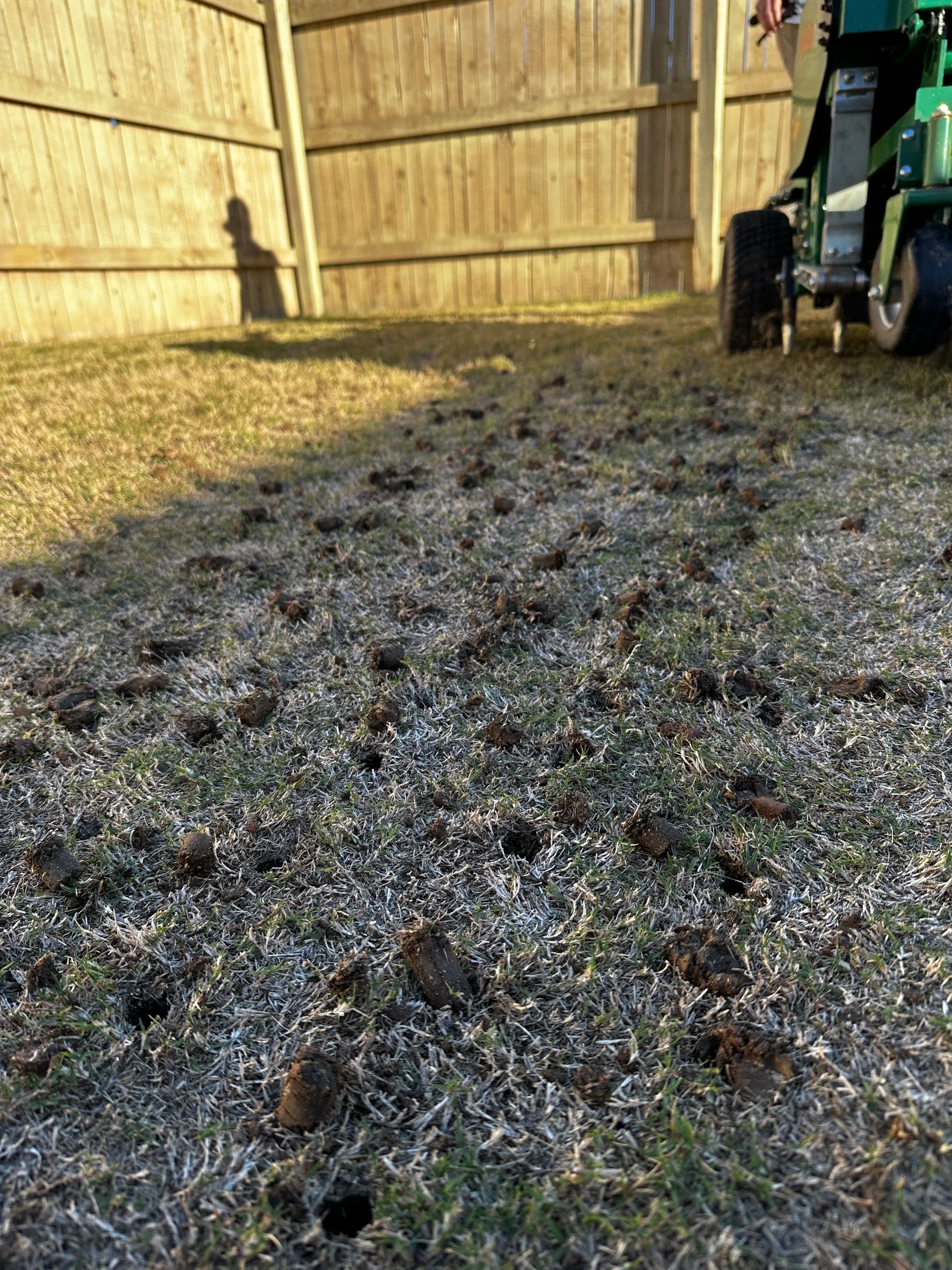 Core aeration holes across a healthy green lawn to improve soil, roots, and grass growth.