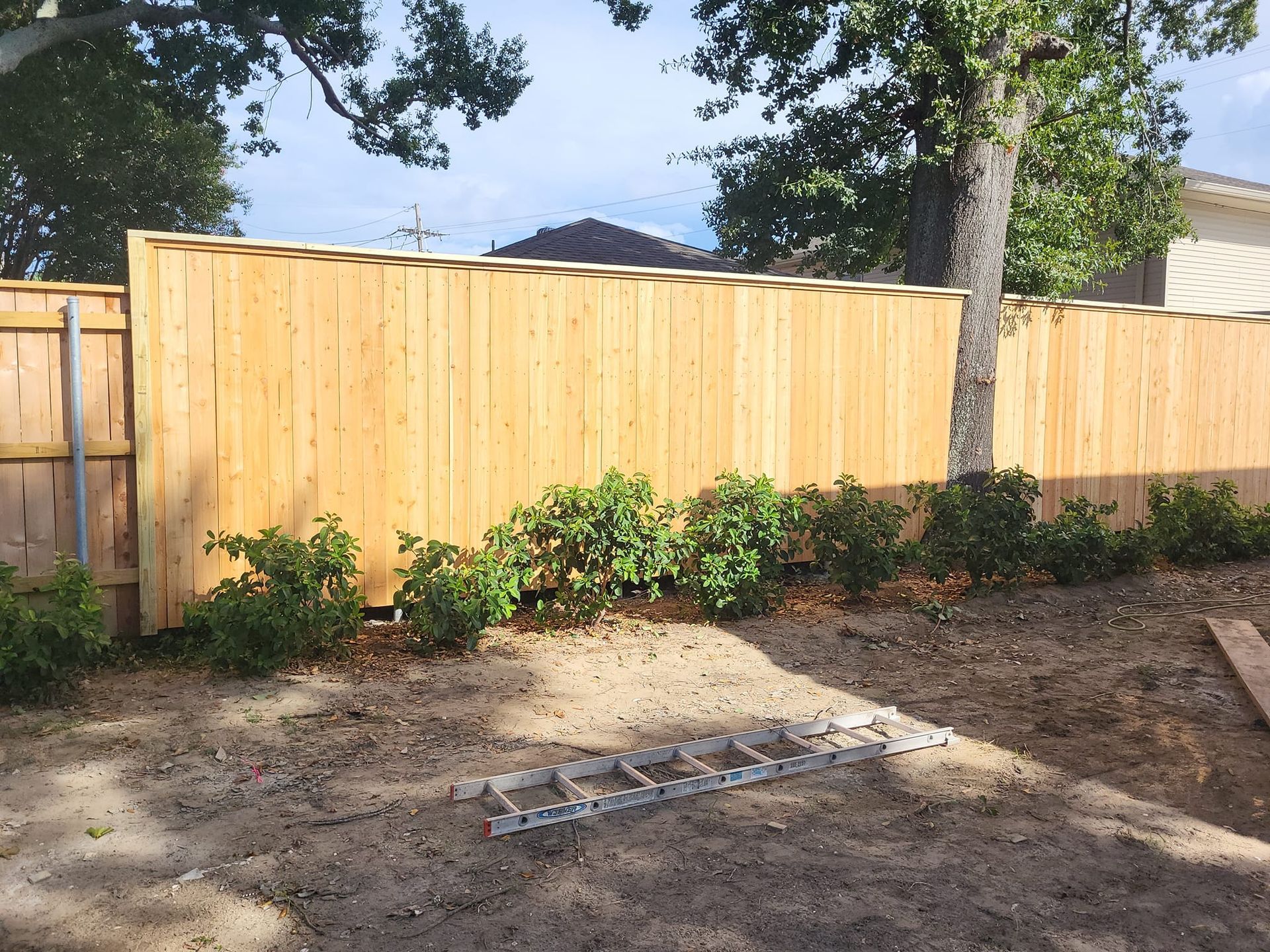 A wooden fence is surrounded by trees and bushes in a backyard