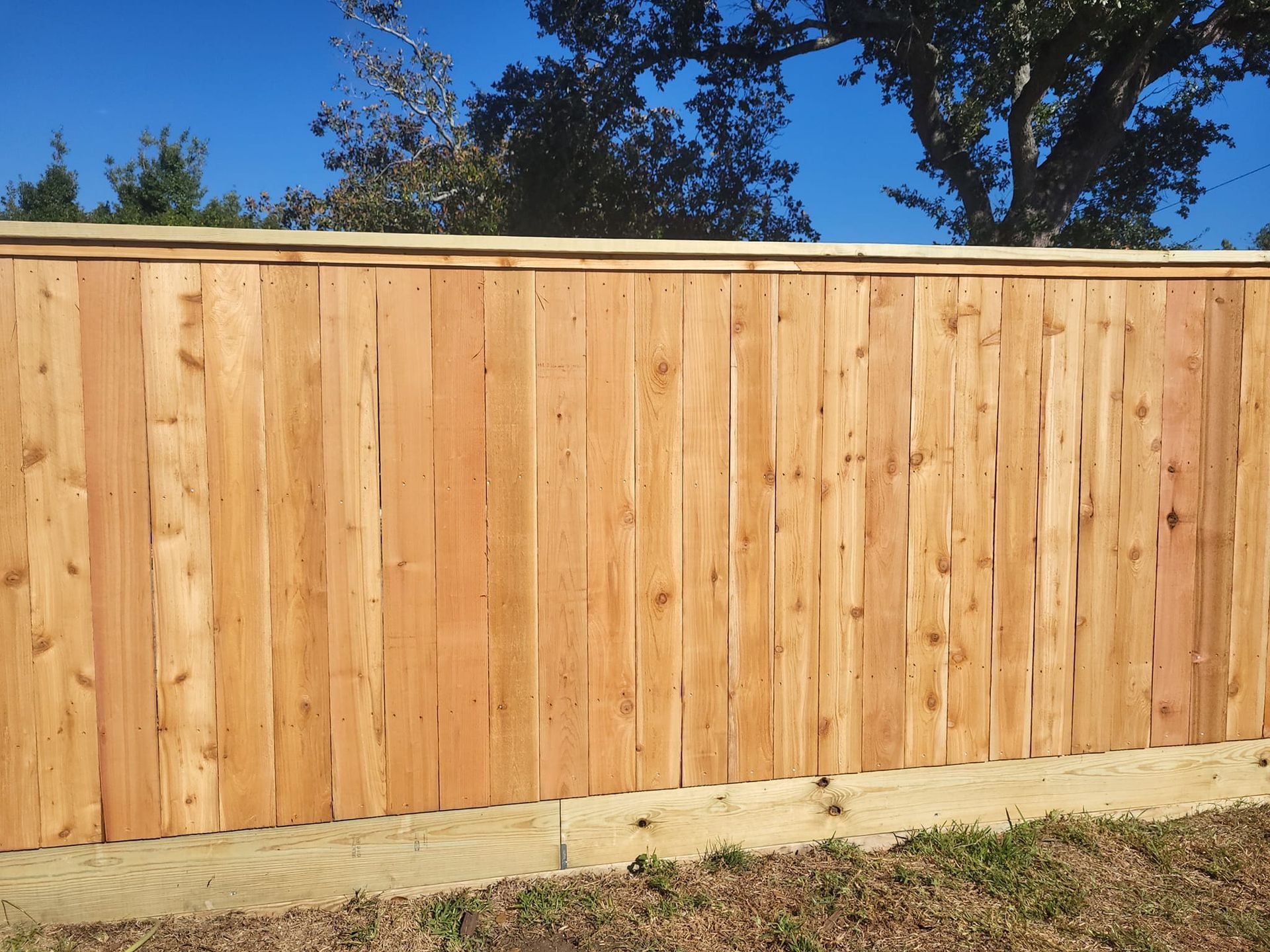 A wooden fence with a tree in the background and a blue sky in the background.