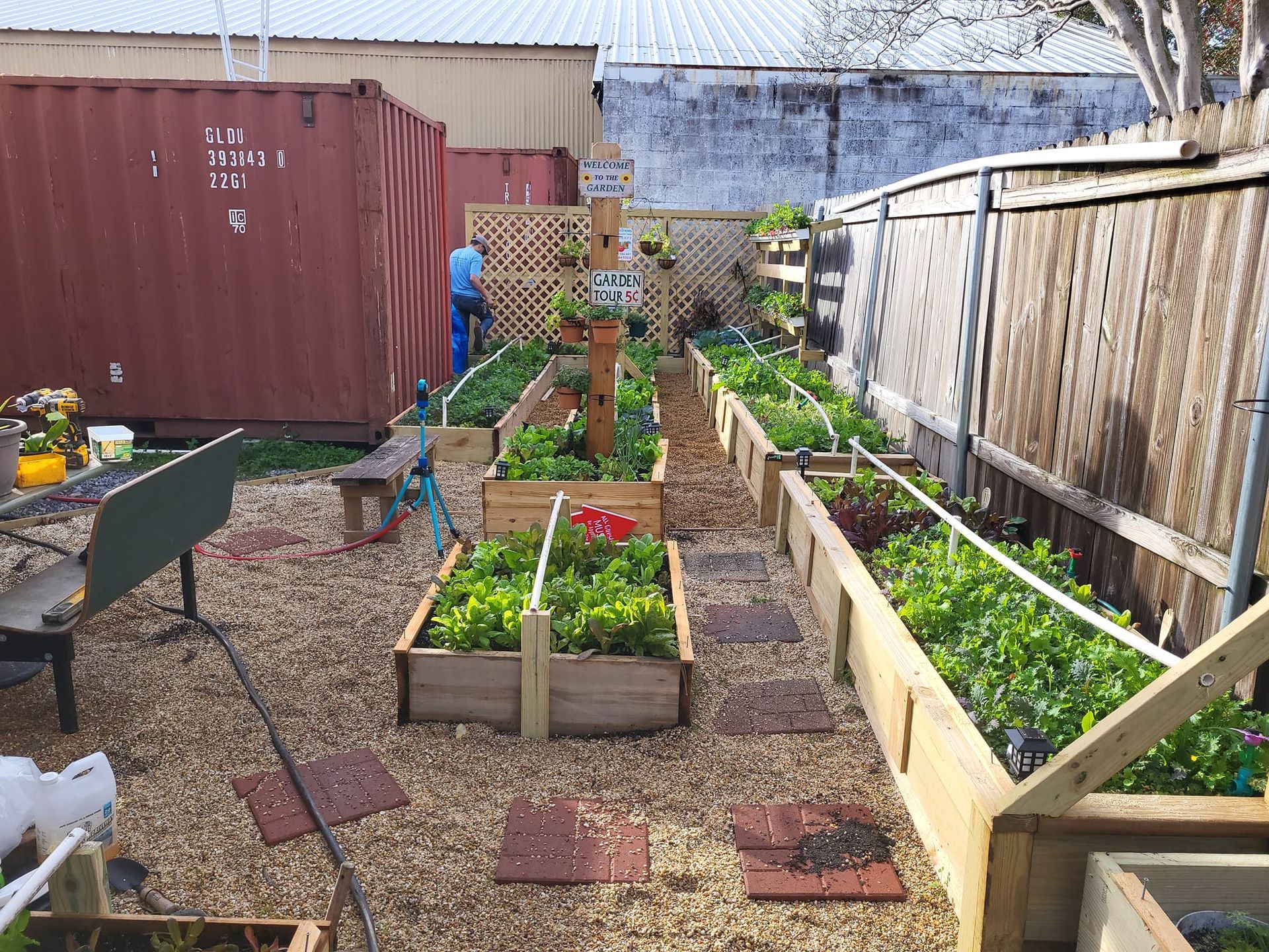 A garden with lots of plants growing in wooden boxes