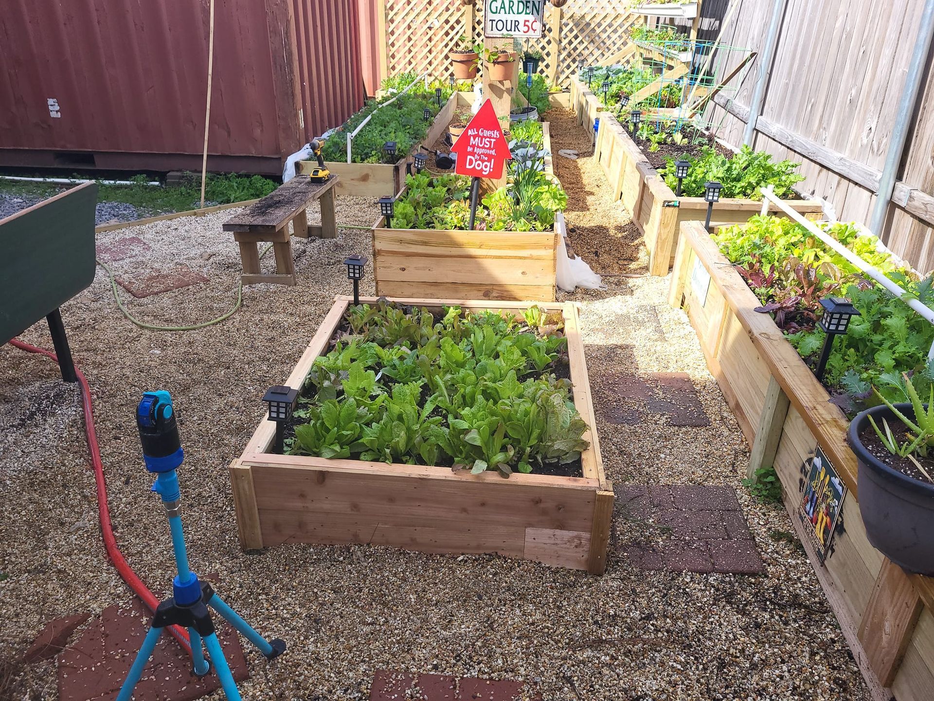 A garden filled with lots of plants and a hose.