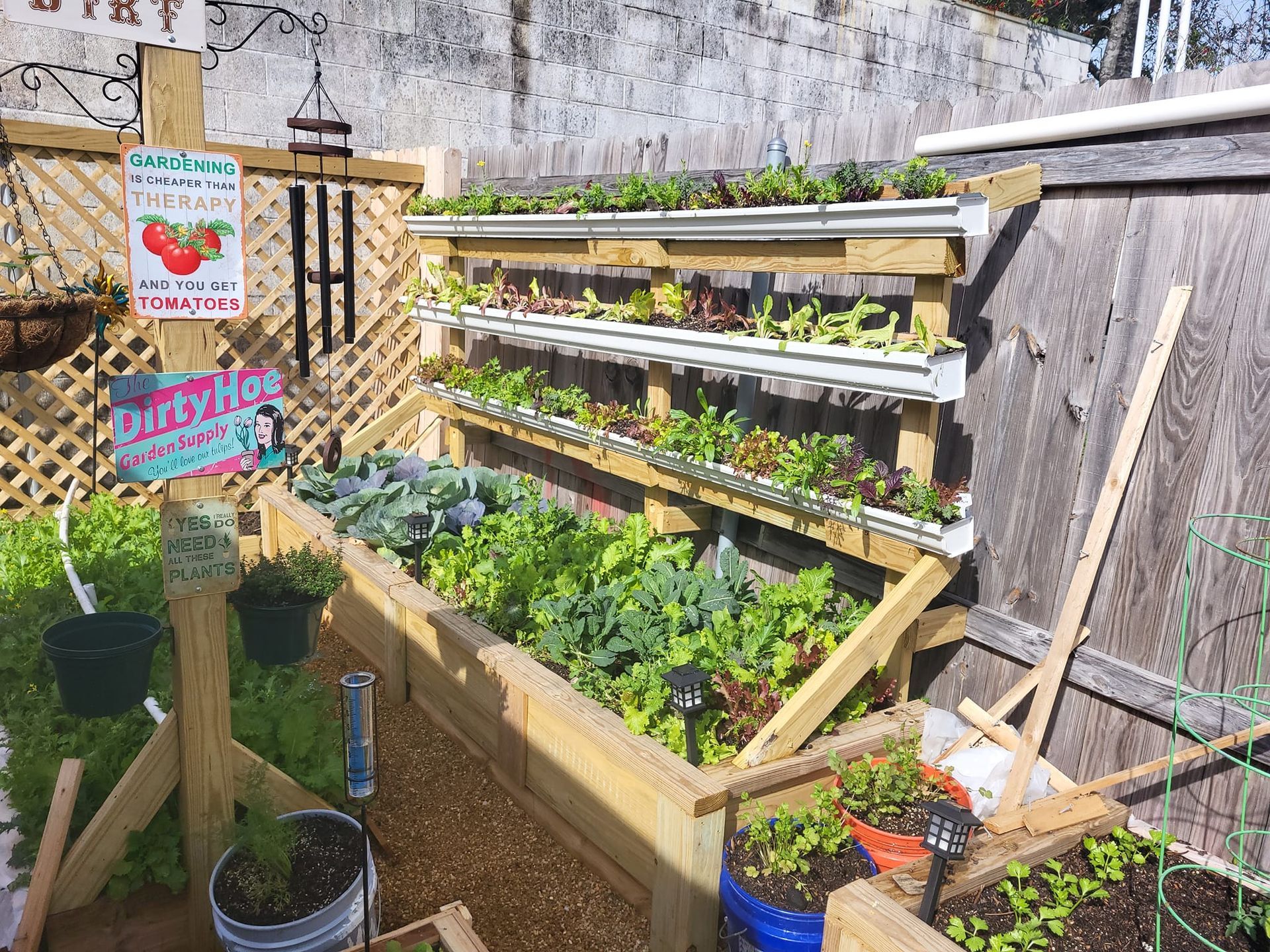 A garden with lots of plants and a sign that says dirty rice.