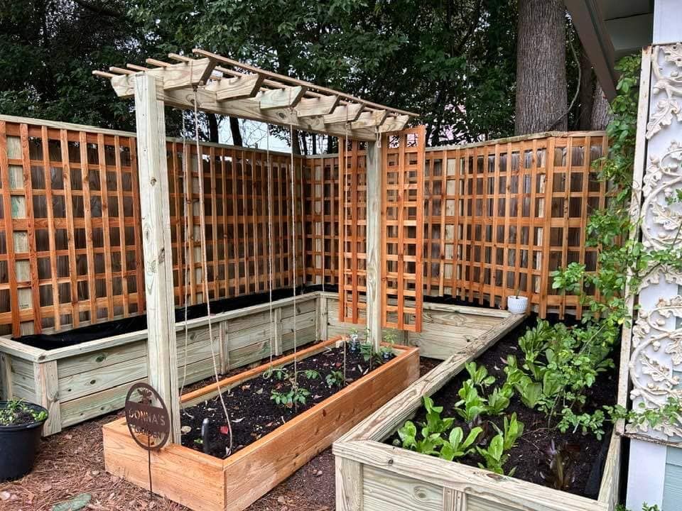 A wooden garden with a pergola and planters filled with plants.