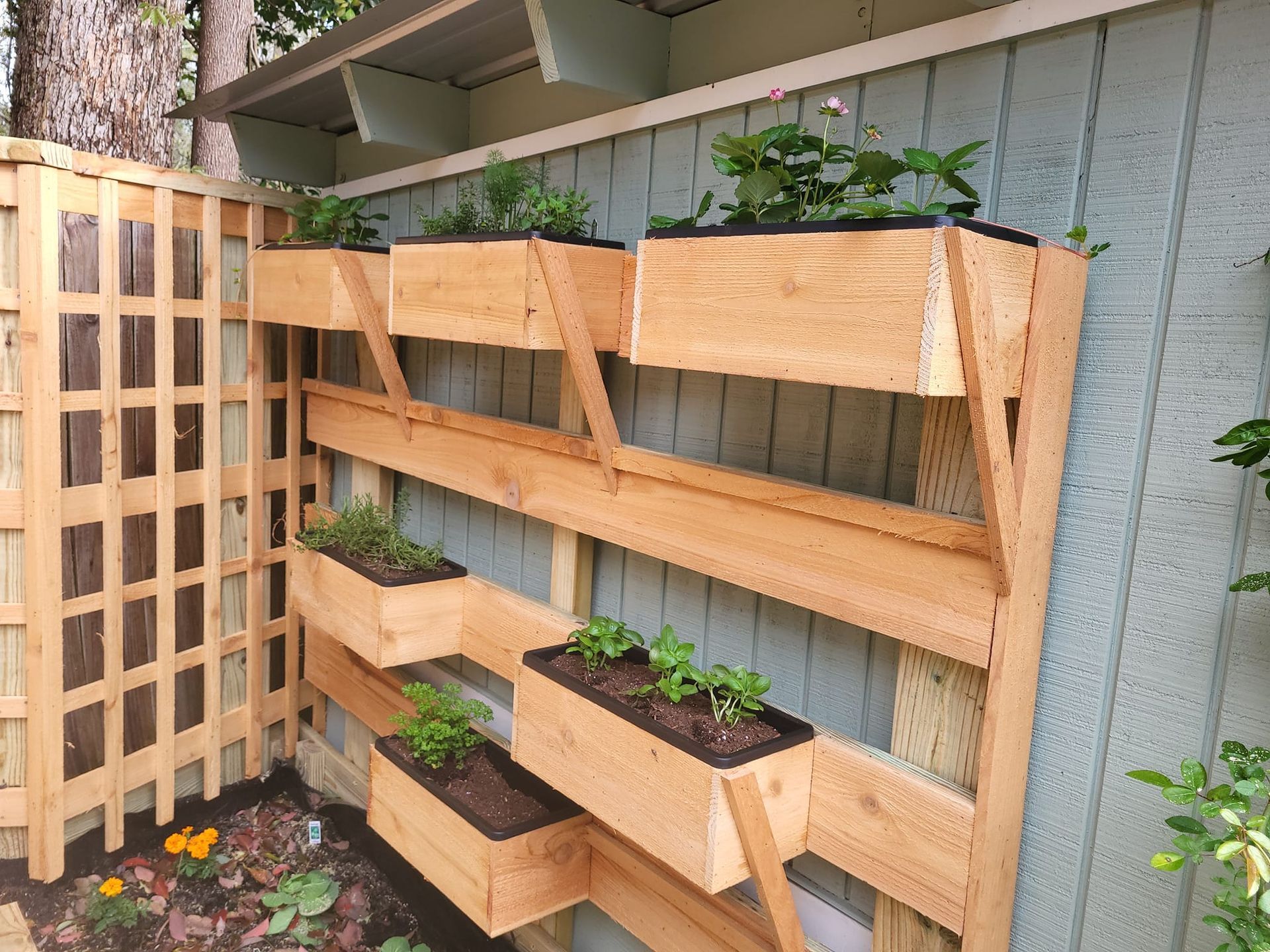 A wooden planter with plants growing on it