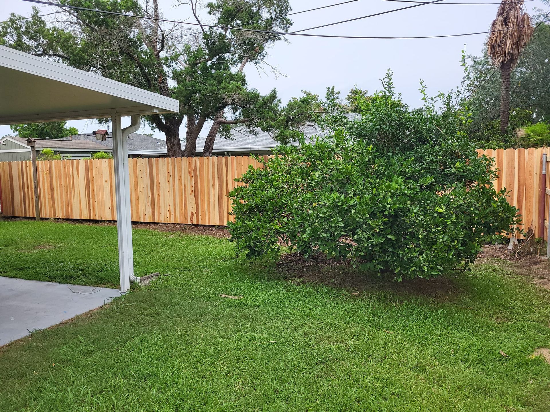 A backyard with a wooden fence and a carport.