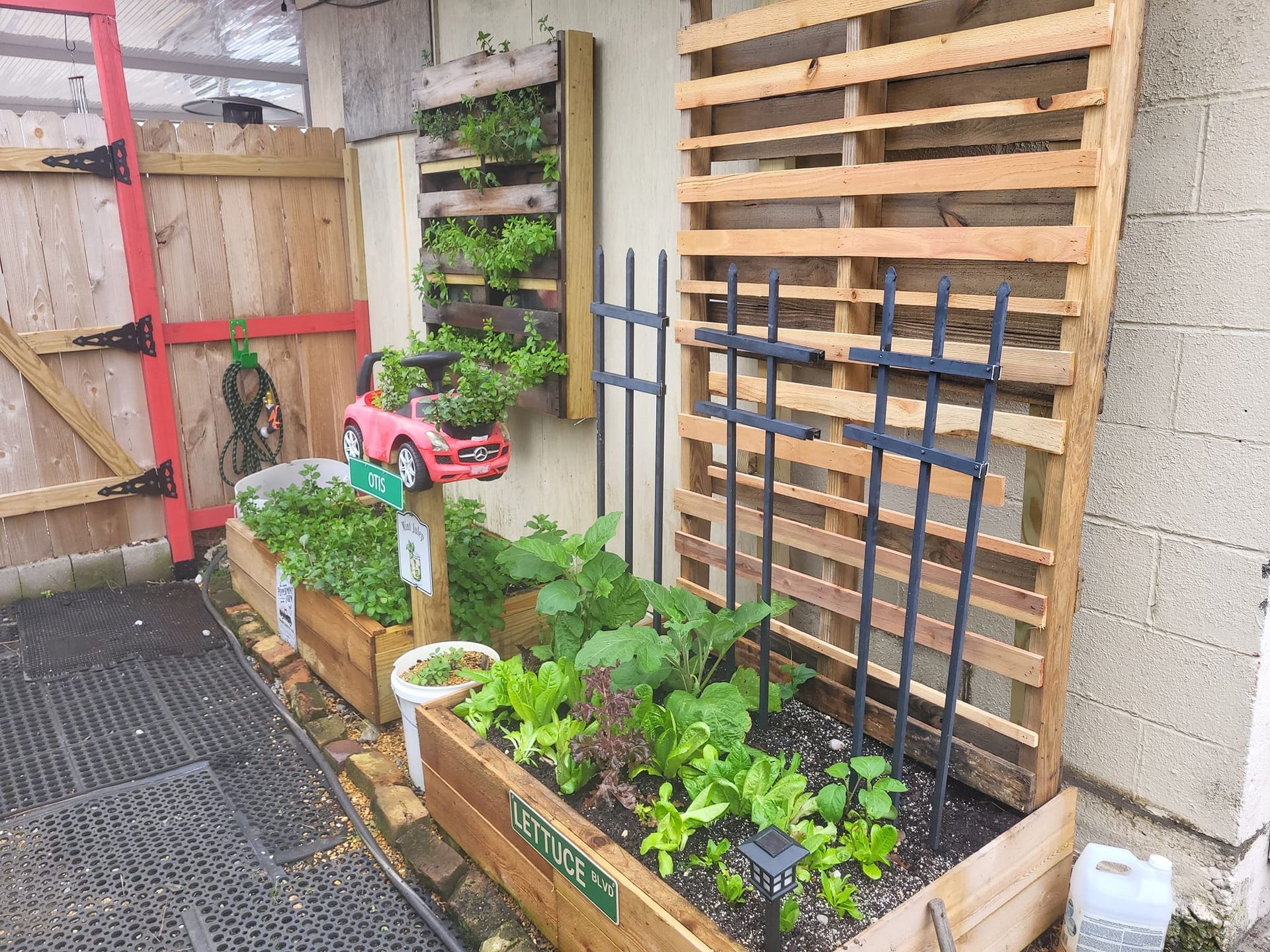 A wooden pallet is being used as a garden fence.