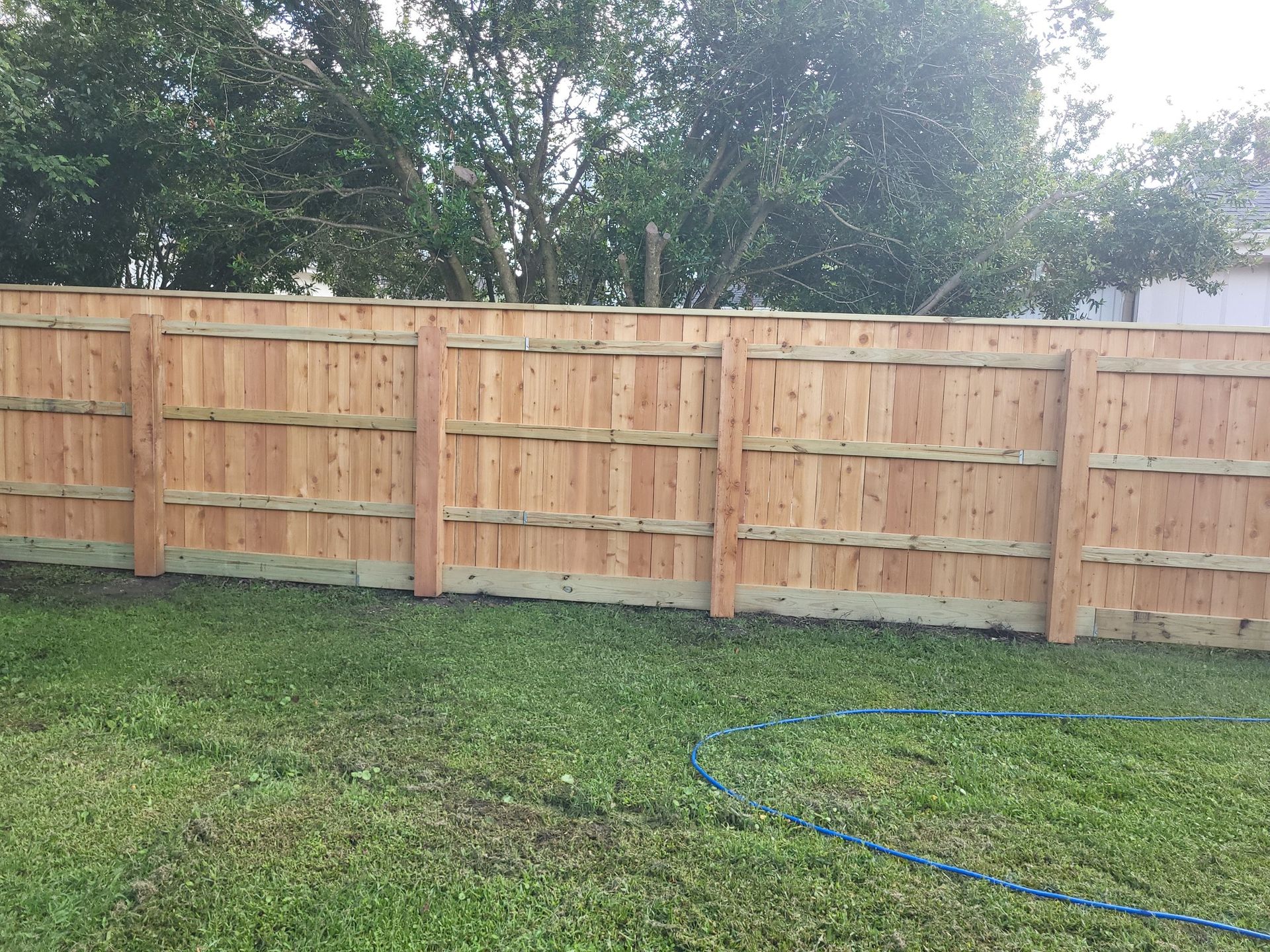 Wooden fence in a backyard with green grass and trees in the background.