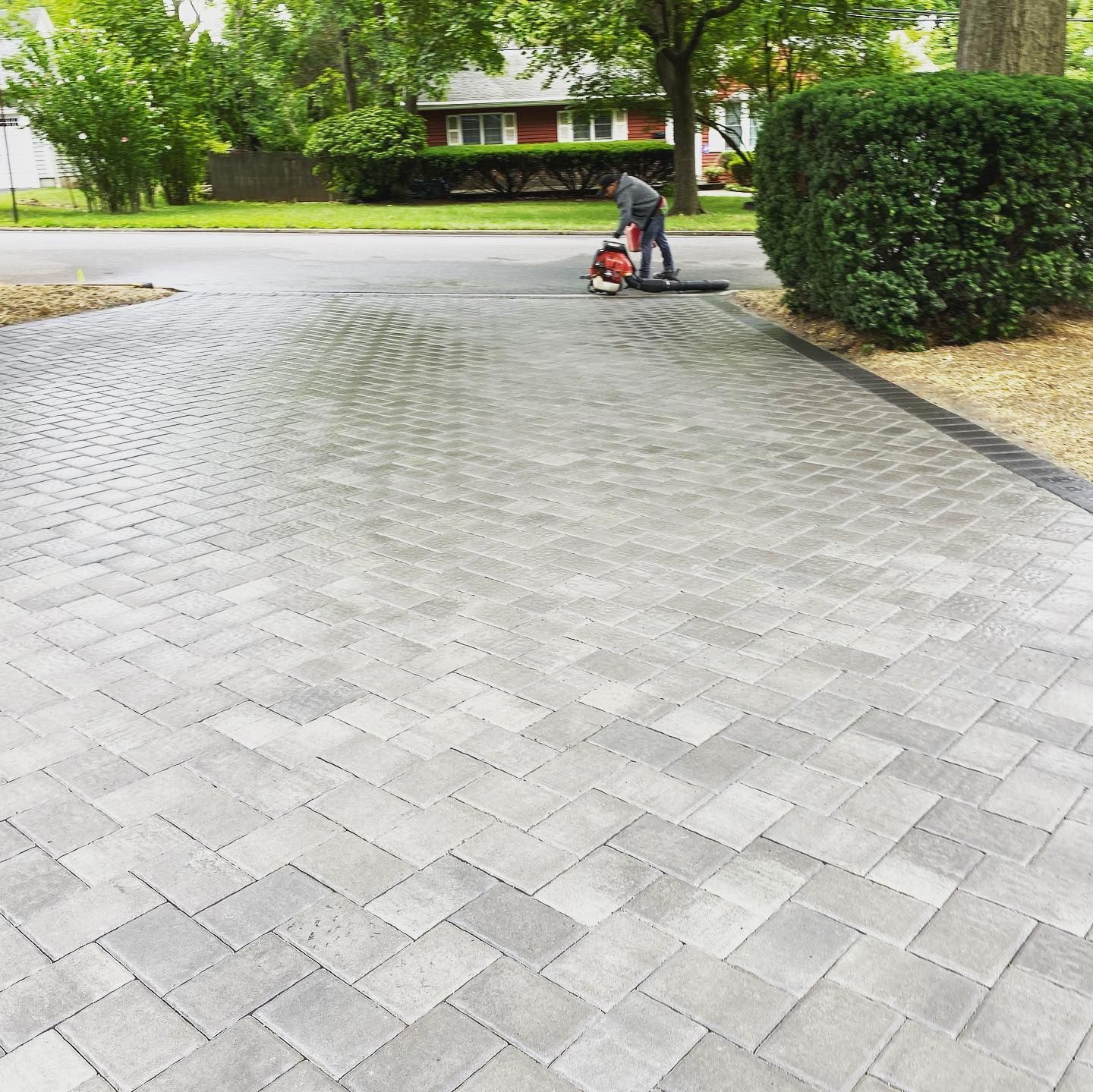 A person uses a leaf blower to clean a light-gray, herringbone-patterned paver driveway near a large green bush.