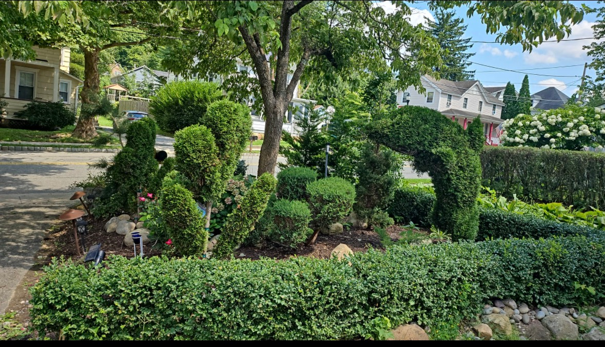 A garden features topiary shrubs sculpted into dolphin and abstract shapes in front of a house on a suburban street.