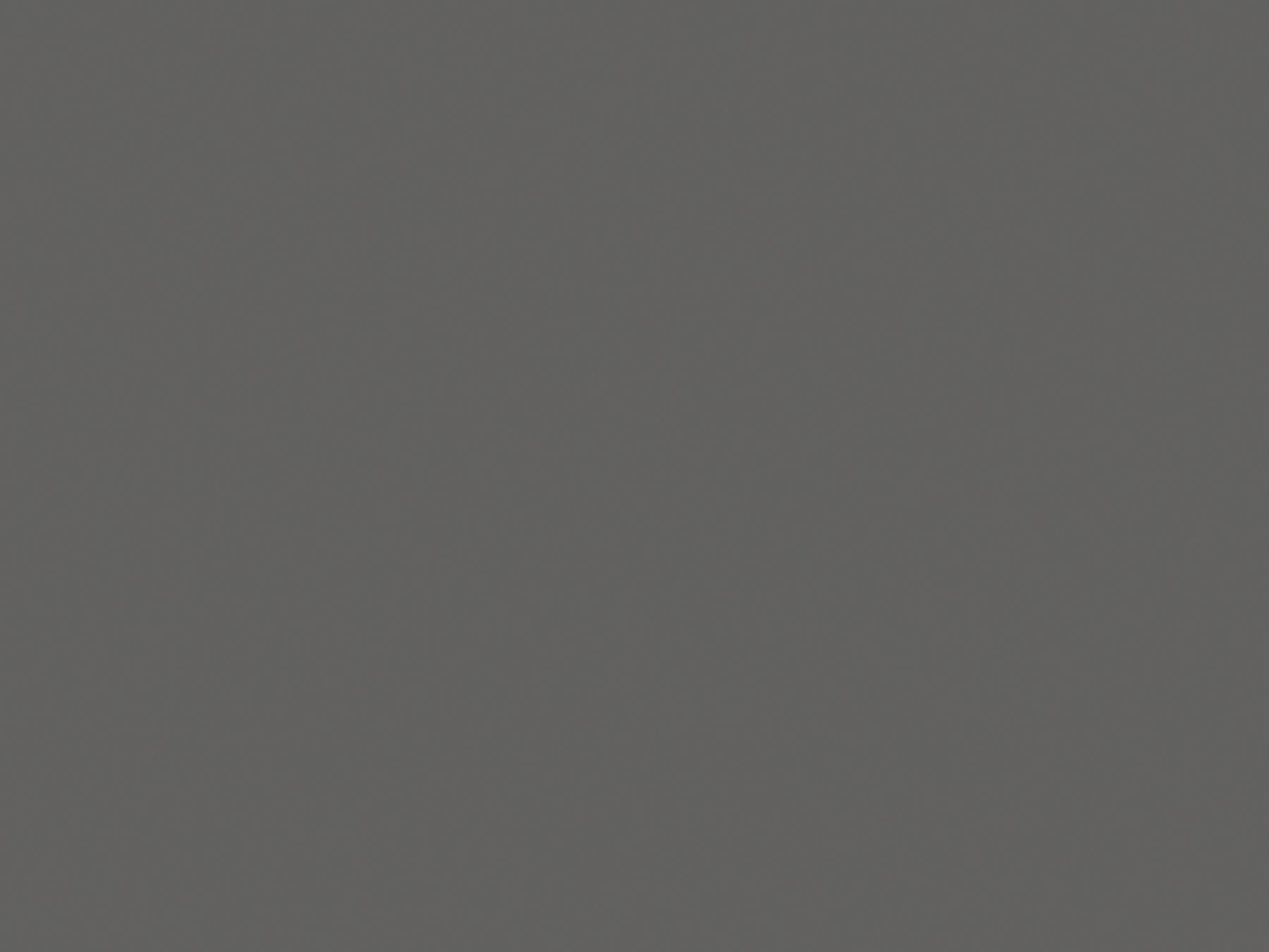 Solid, uniform gray background.
