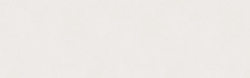 A white, textured background.