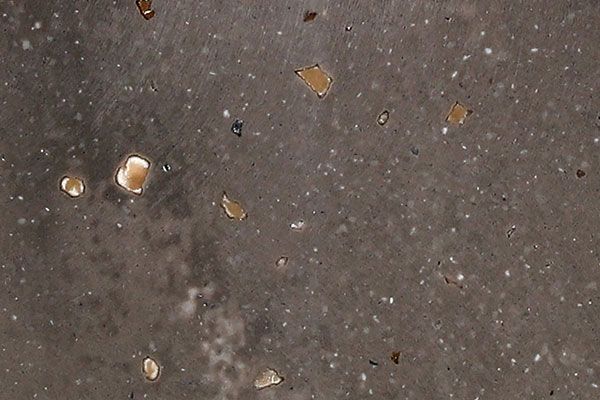 Dark, speckled surface with scattered, light-colored, irregular shapes.