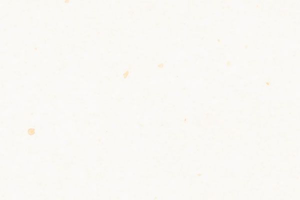 Off-white paper background with small, scattered yellow-brown flecks.