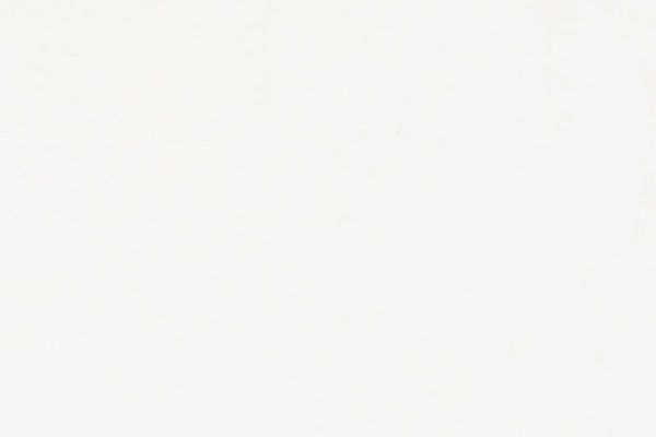 Blank white background.