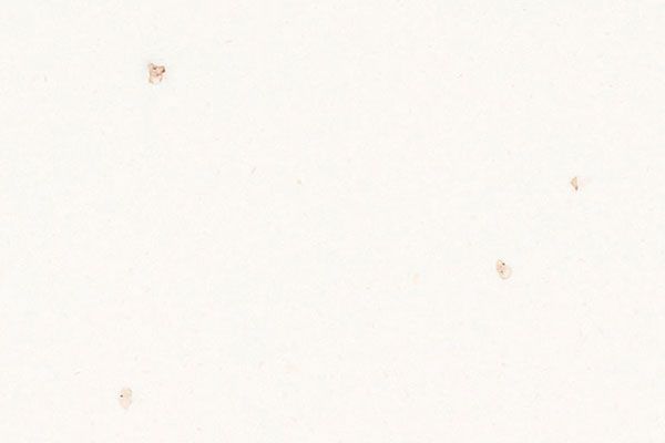Speckled off-white background with four small, light brown flecks scattered across the surface.