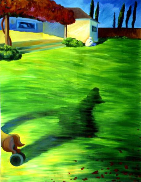 Sunny yard with a long shadow on green grass beside a yellow house and trees