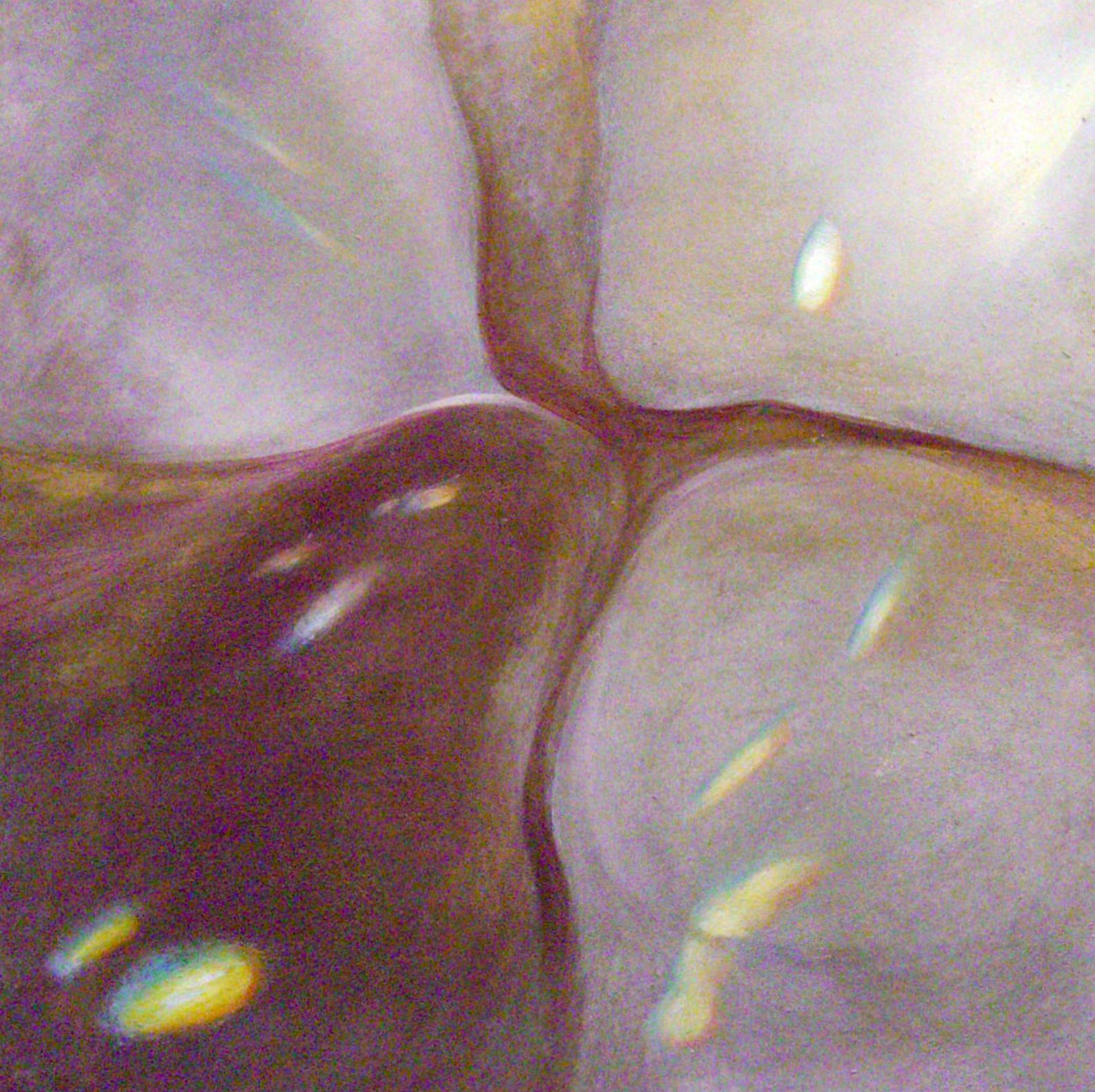 Close-up of four glossy dumplings with white and brown fillings meeting at the center