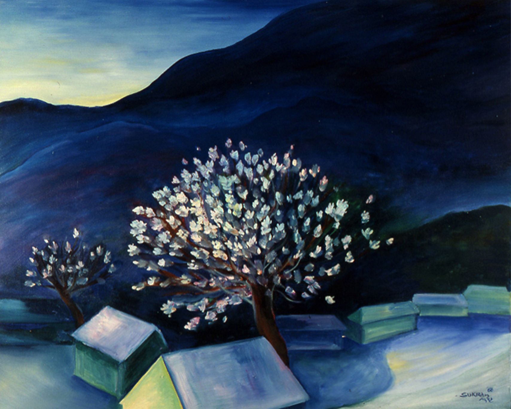 Blooming tree under a dark blue mountain sky, with rooftops and snowy ground in the foreground