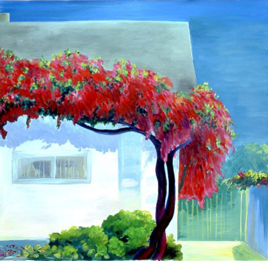 A red-flowering tree arches over a white house under a blue sky, with green shrubs below.