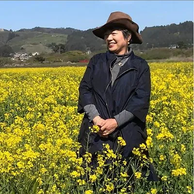 Person in a brown hat and navy coat standing in a bright yellow flower field under a blue sky.