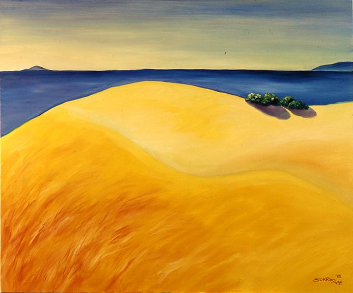 Golden sand dunes under a blue sky with a small green shrub near the horizon
