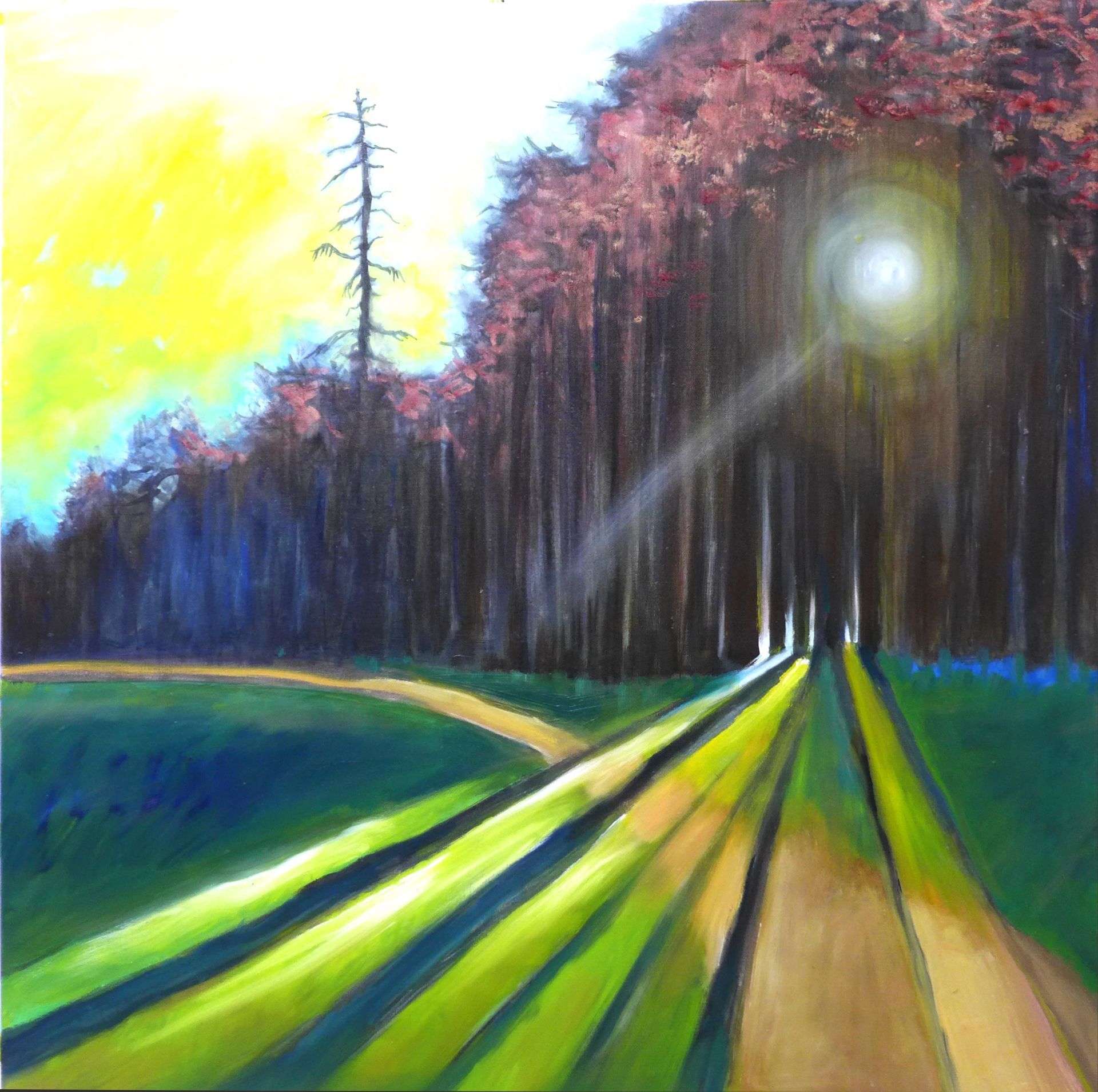 Sunlit path through a colorful forest, with tall trees and bright yellow sky
