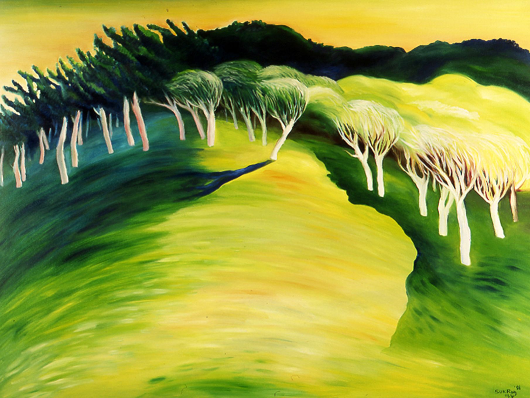 A winding green path through a grove of white-trunked trees under bright light