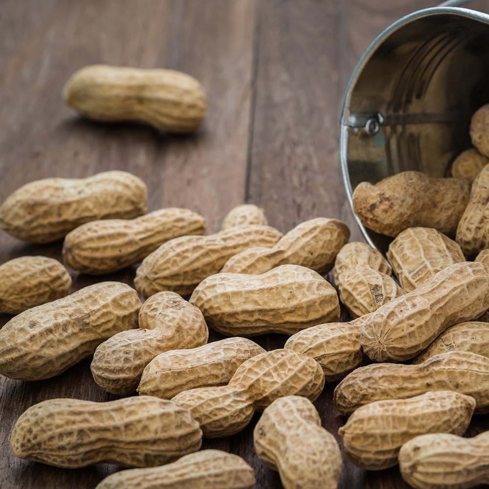 Allergy Treatment Toms River, NJ Dr. Robert P. Rabinowitz, D.O., P.A.