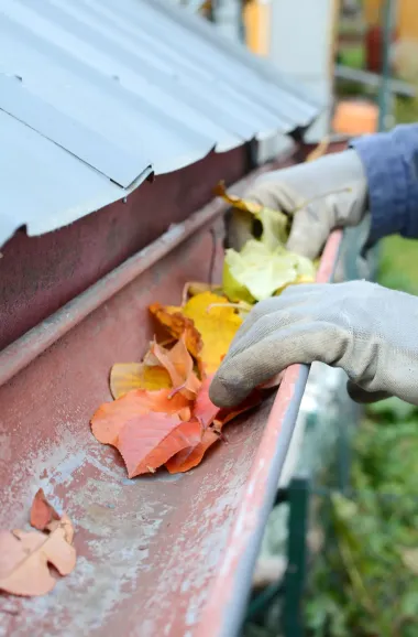 Gloved hands clearing colorful autumn leaves from a rain gutter beside a roof