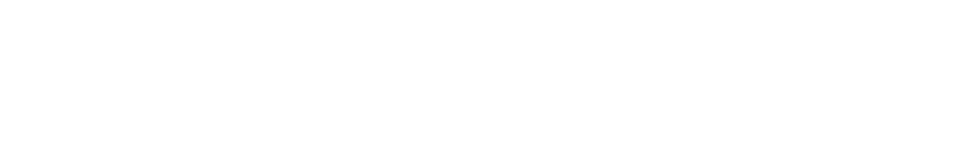 Busson & Sikorski, P.C logo