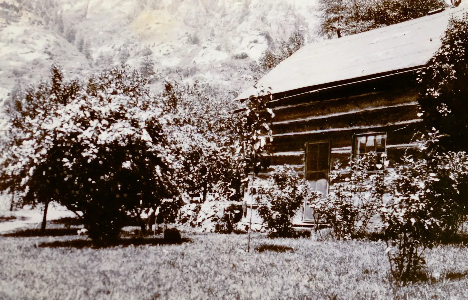 Snow-covered cabin beside trees in a winter landscape